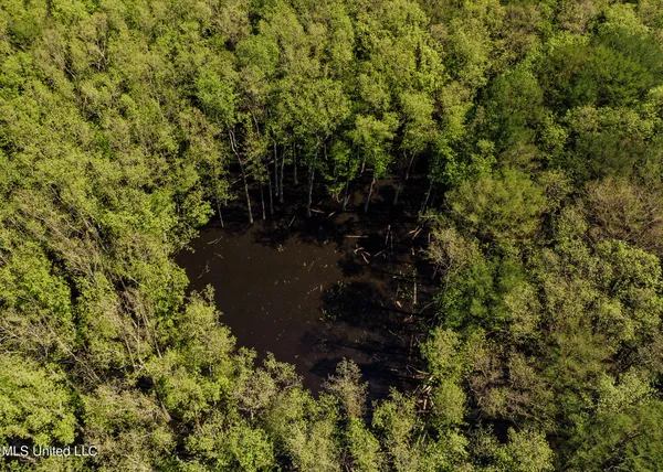 $740,000 | 176 County Road, Sidon, MS 38954