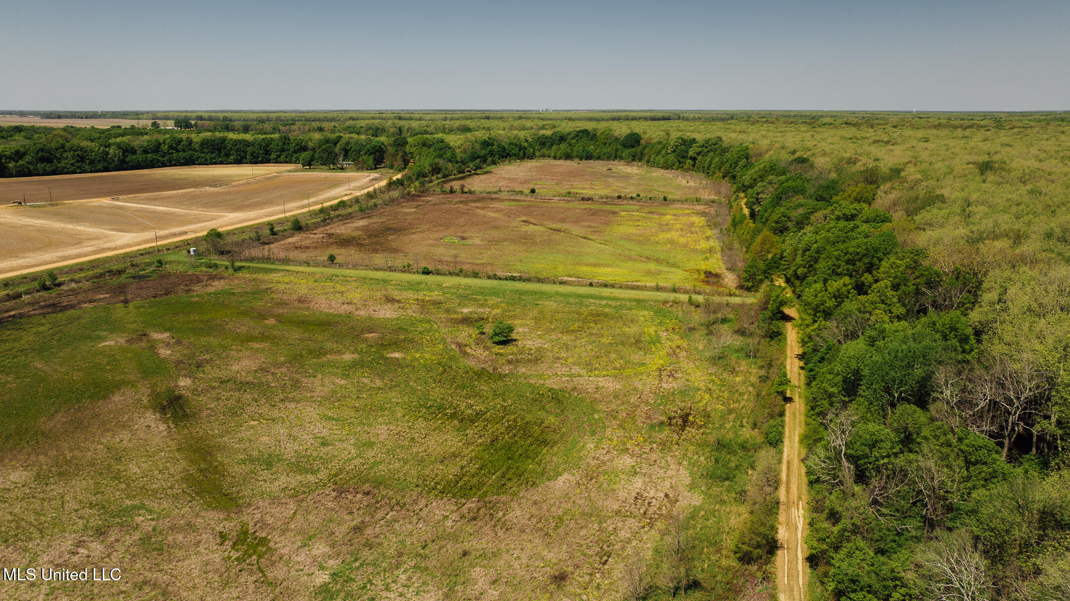 176 County Road Sidon, MS 38954 - Photo 15 of 59 200 Leflore Holly Grove Pics-1