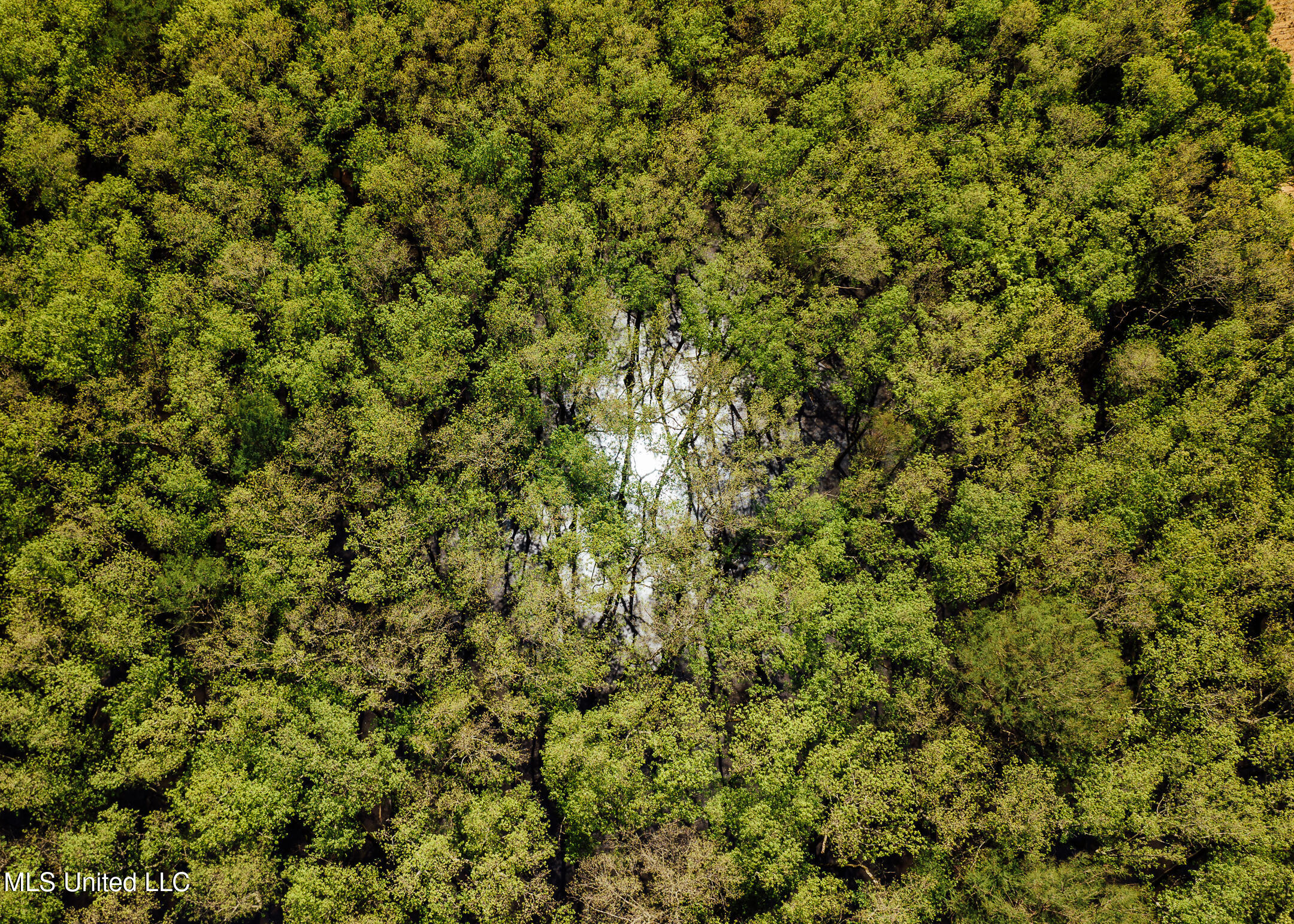 176 County Road Sidon, MS 38954 - Photo 15 of 58 200 Leflore Holly Grove Pics-11