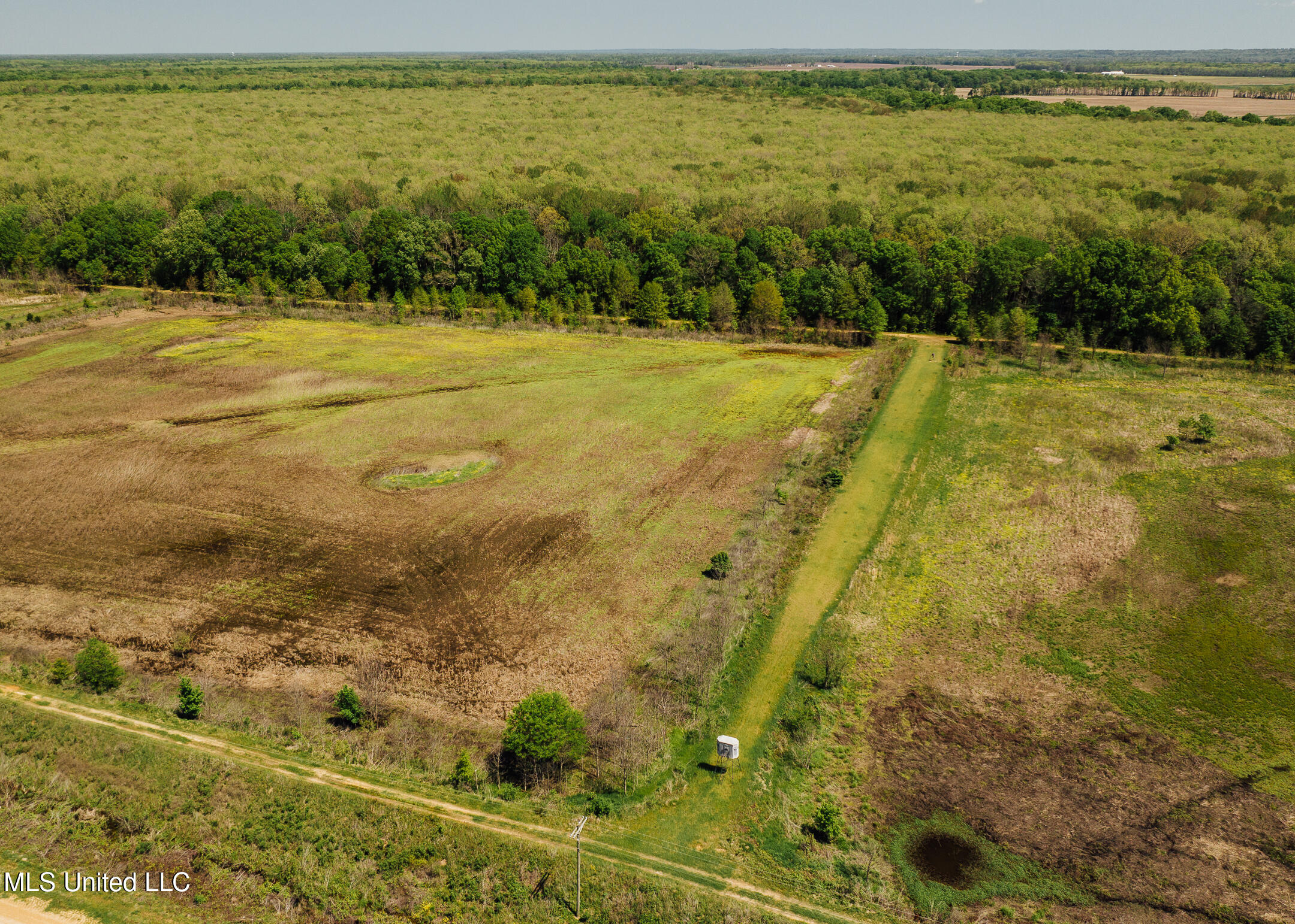 176 County Road Sidon, MS 38954 - Photo 16 of 59 200 Leflore Holly Grove Pics-9