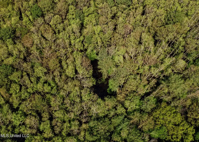 $775,000 | 176 County Road, Sidon, MS 38954