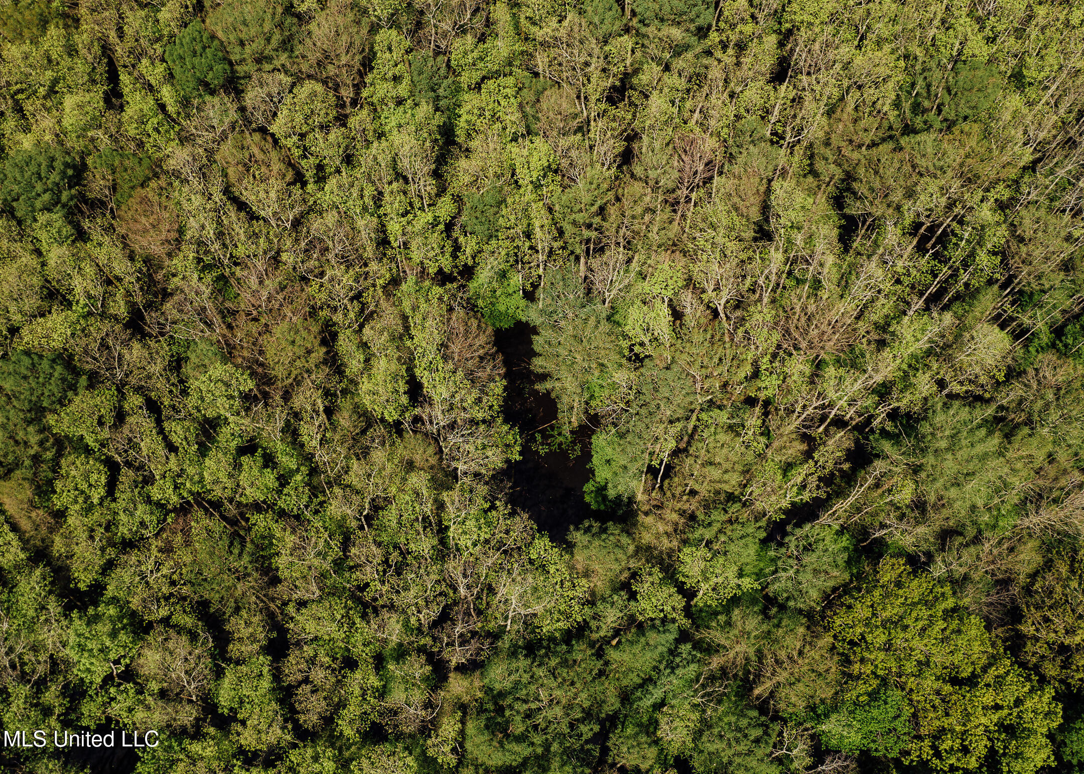 176 County Road Sidon, MS 38954 - Photo 16 of 58 200 Leflore Holly Grove Pics-12