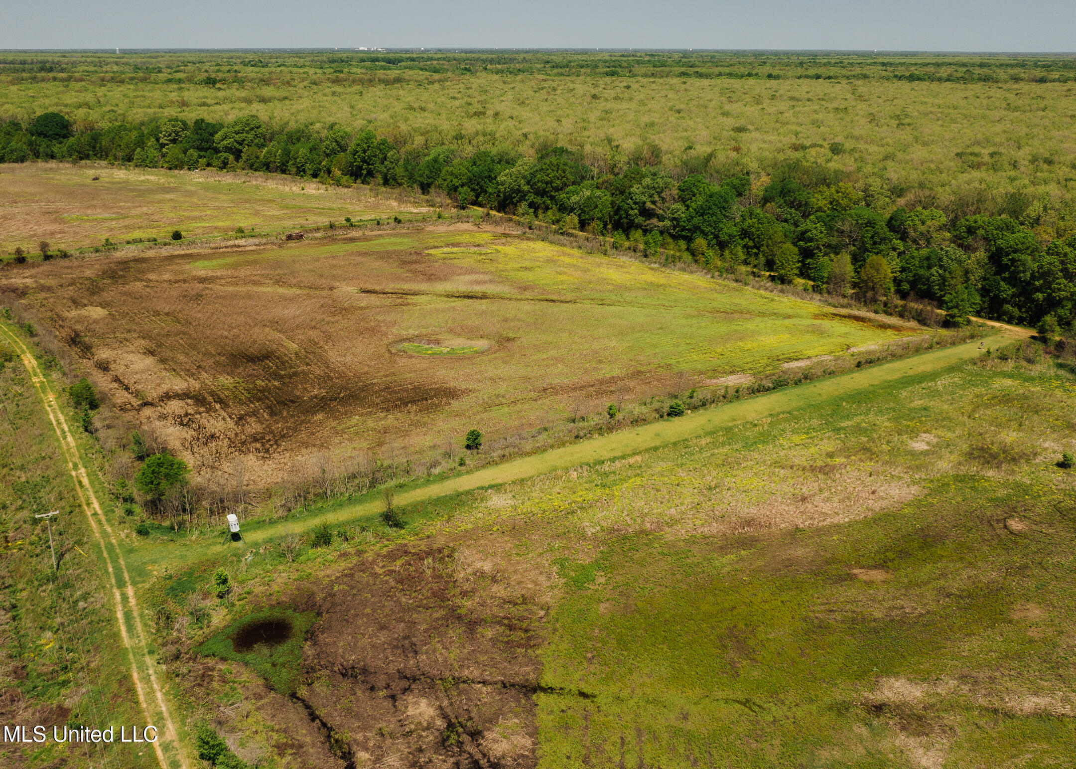 176 County Road Sidon, MS 38954 - Photo 17 of 59 200 Leflore Holly Grove Pics-10
