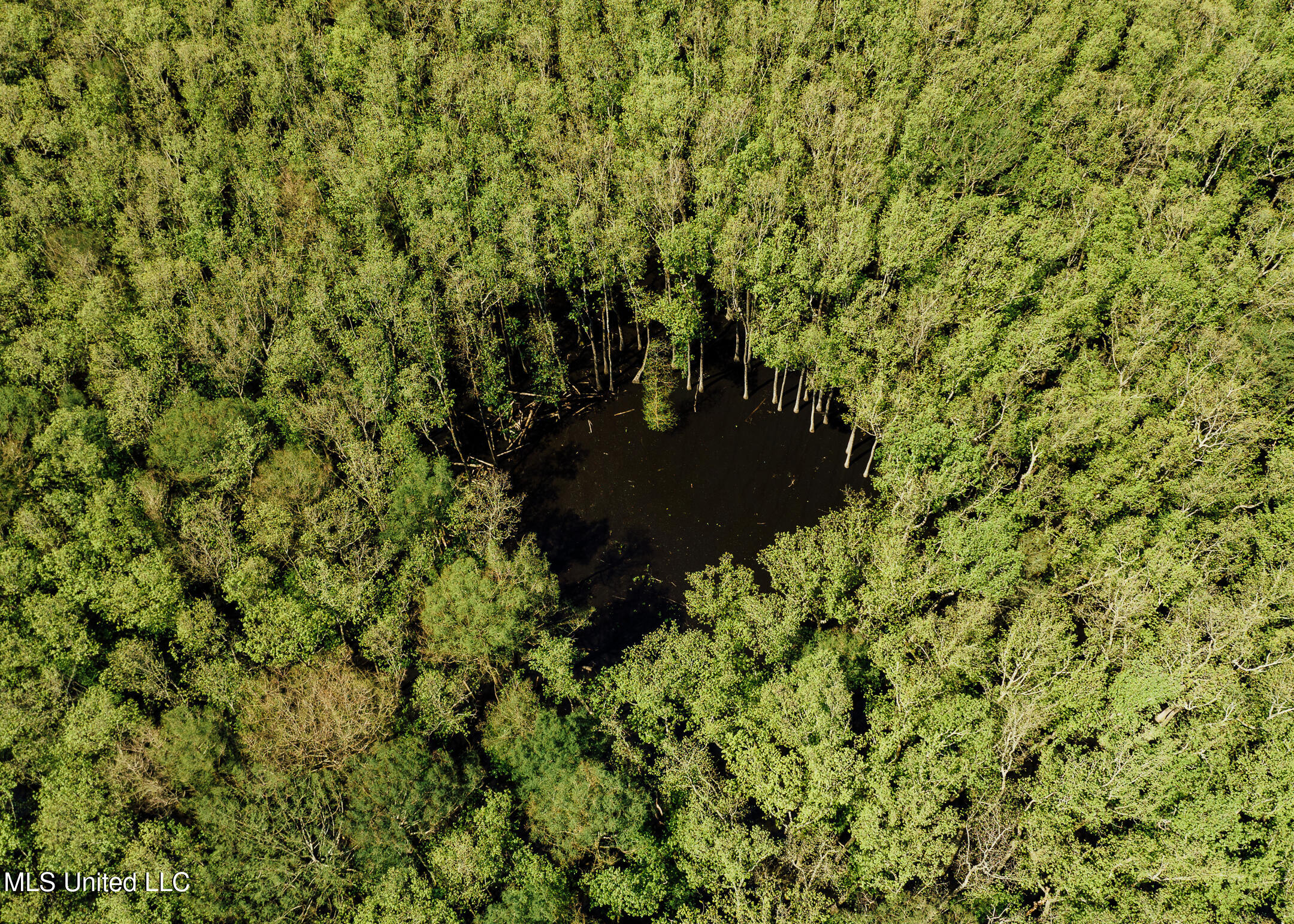 176 County Road Sidon, MS 38954 - Photo 17 of 58 200 Leflore Holly Grove Pics-14