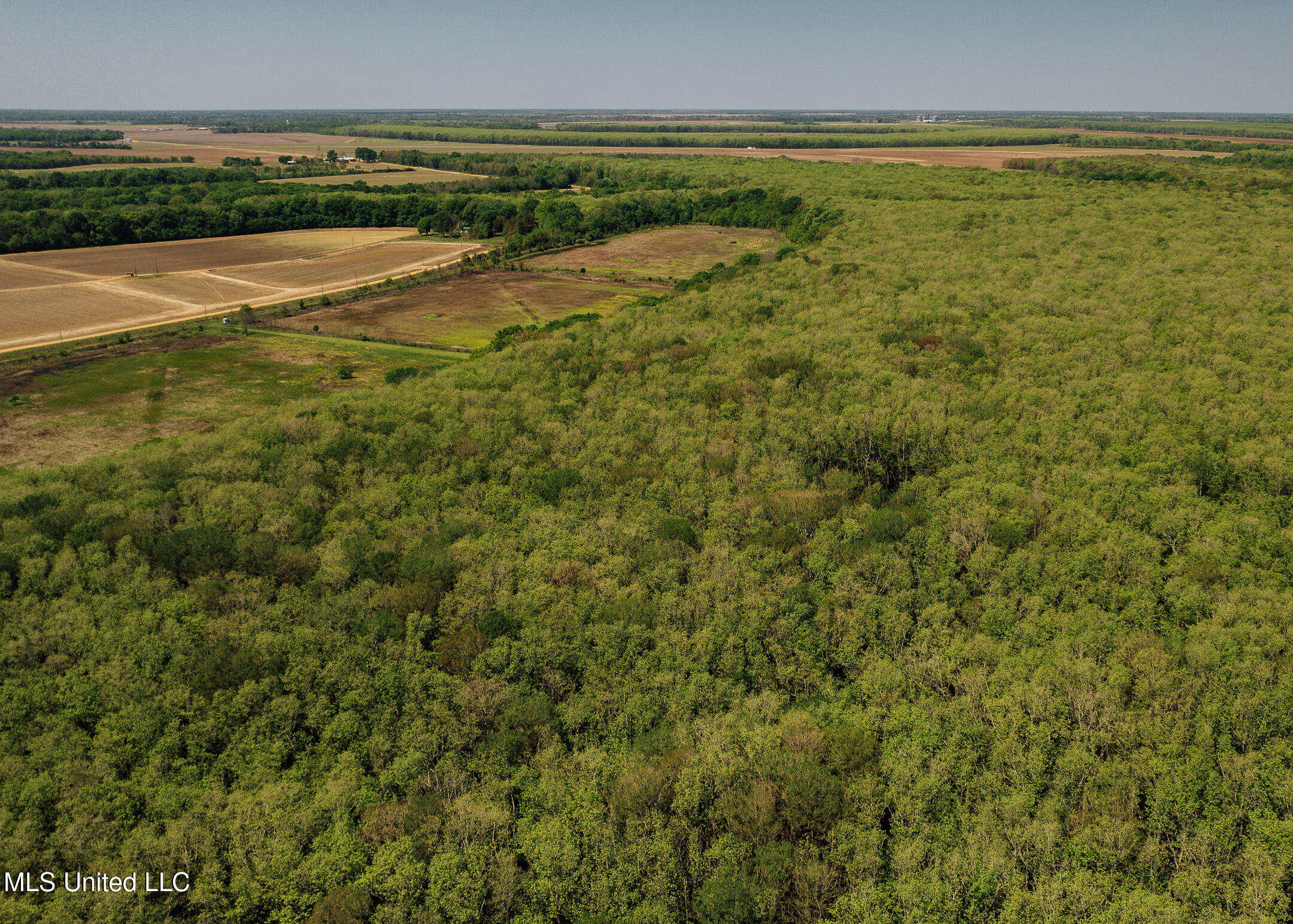 176 County Road Sidon, MS 38954 - Photo 18 of 59 200 Leflore Holly Grove Pics-13