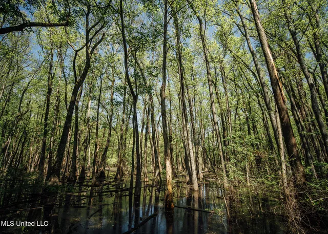 $775,000 | 176 County Road, Sidon, MS 38954