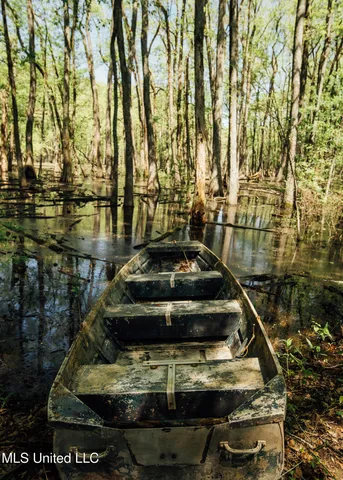 $775,000 | 176 County Road, Sidon, MS 38954