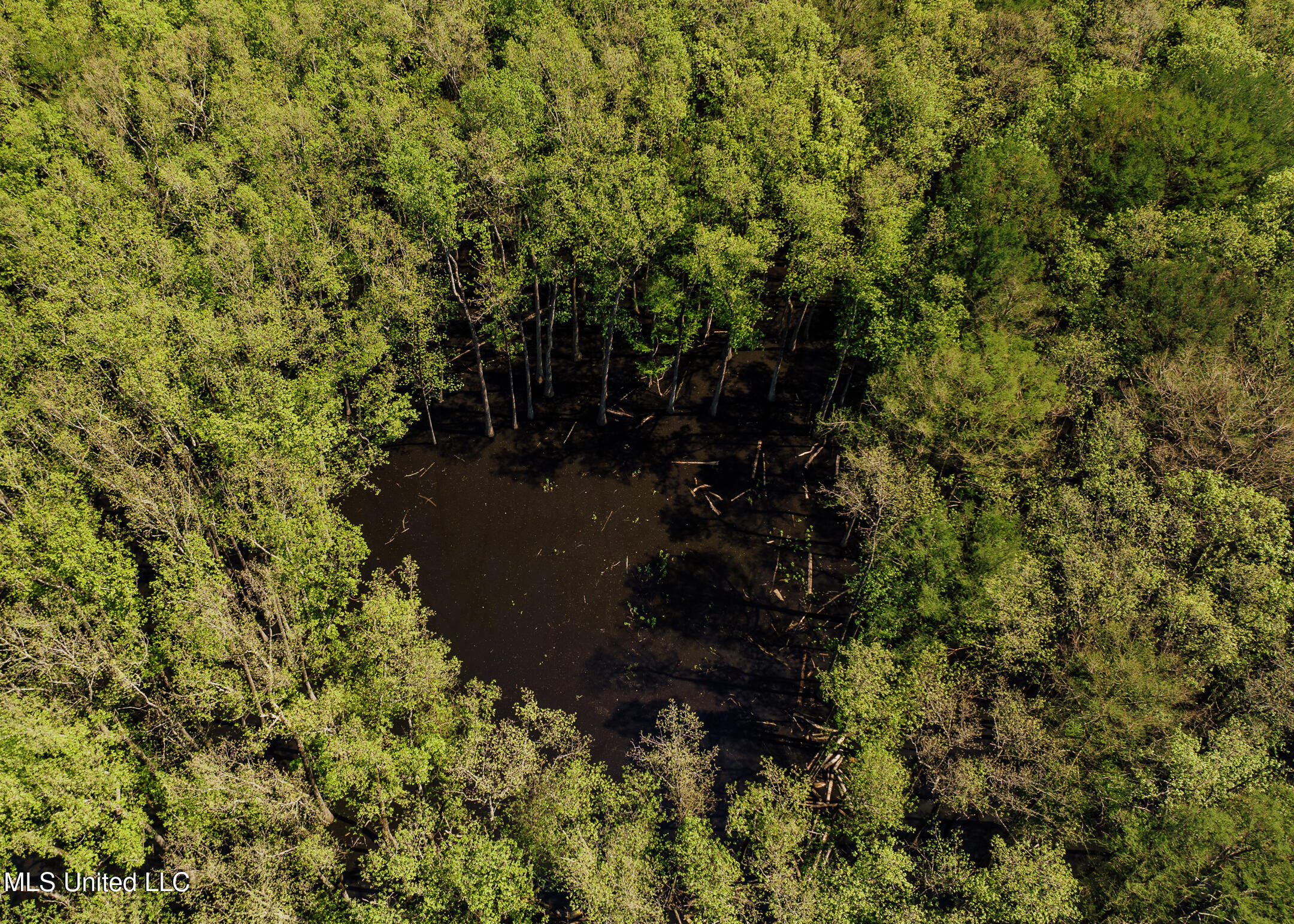 176 County Road Sidon, MS 38954 - Photo 19 of 59 200 Leflore Holly Grove Pics-2