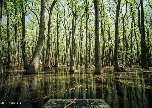 $775,000 | 176 County Road, Sidon, MS 38954