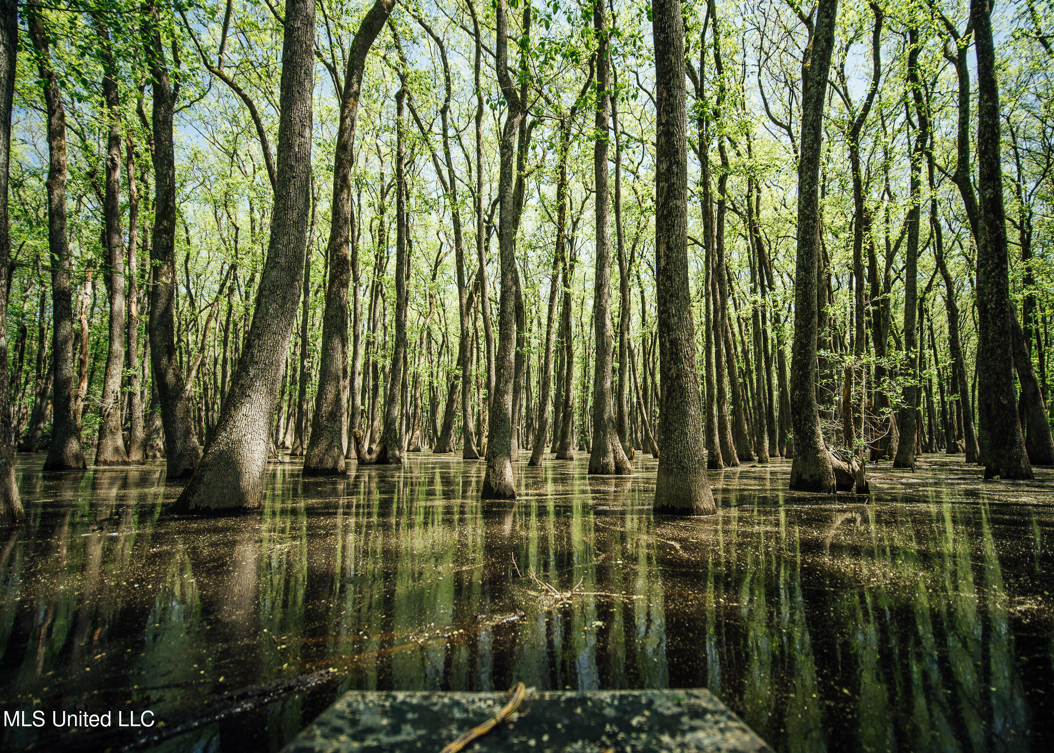 176 County Road Sidon, MS 38954 - Photo 20 of 58 200 Leflore Holly Grove Pics-18