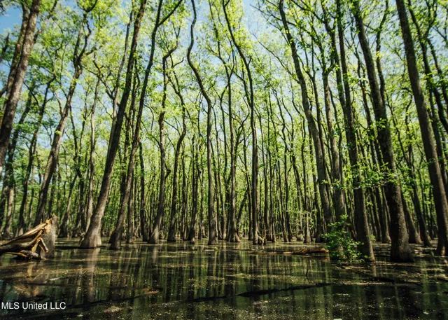 $775,000 | 176 County Road, Sidon, MS 38954