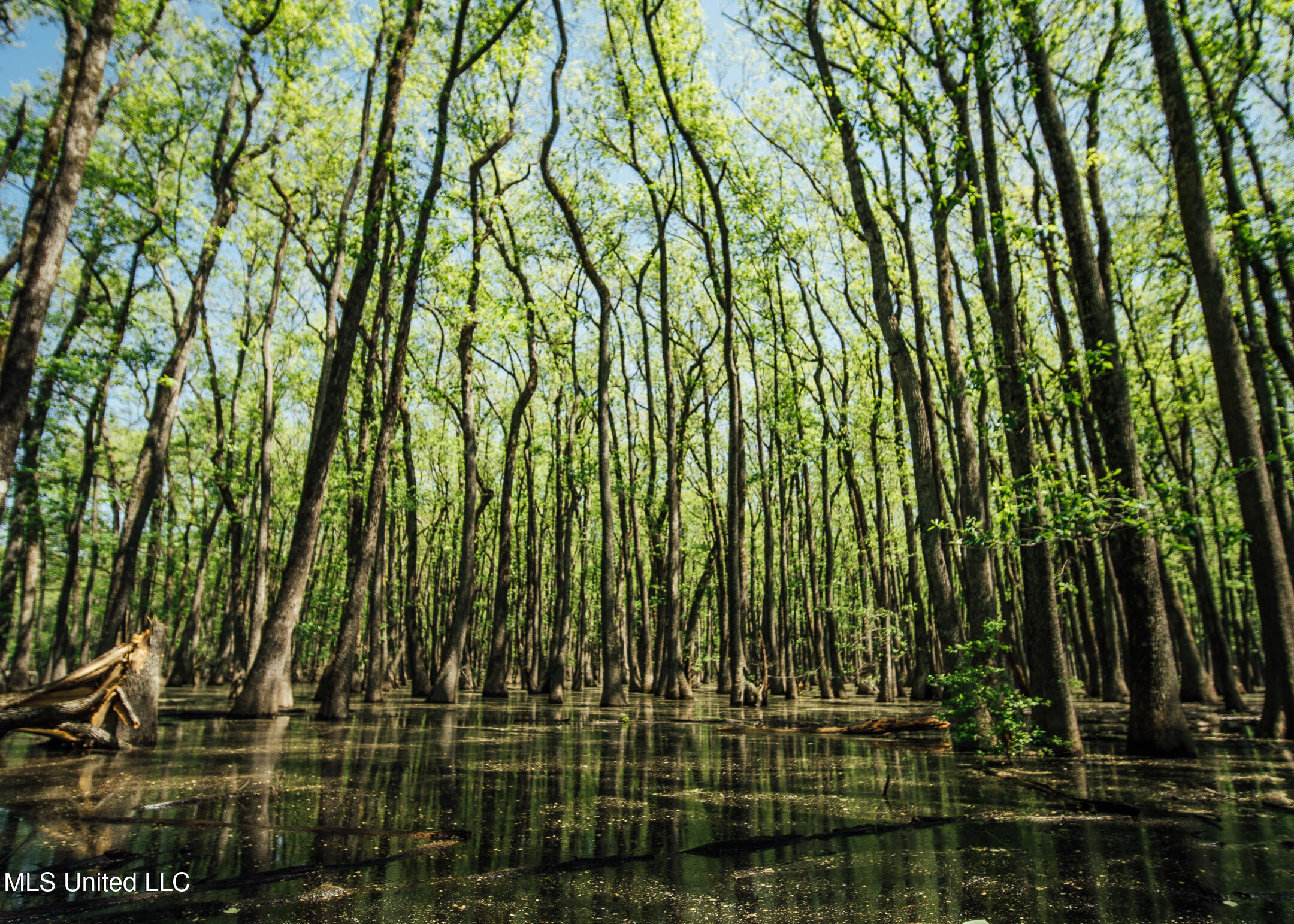 176 County Road Sidon, MS 38954 - Photo 2 of 58 2