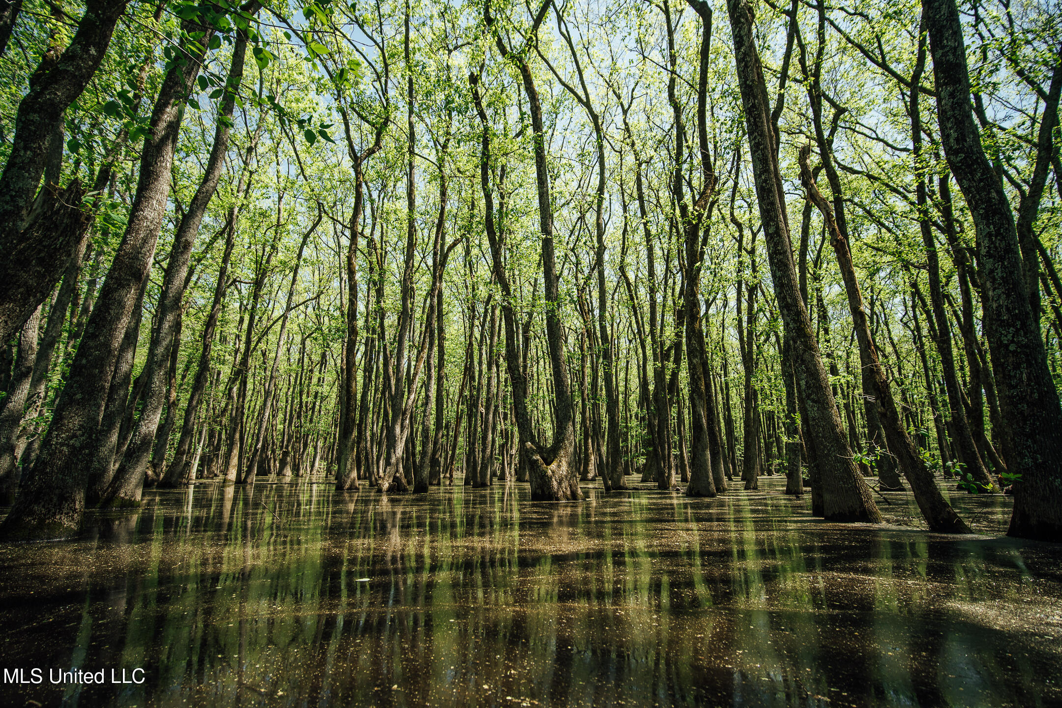 176 County Road Sidon, MS 38954 - Photo 21 of 58 200 Leflore Holly Grove Pics-20