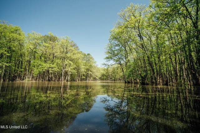 $775,000 | 176 County Road, Sidon, MS 38954