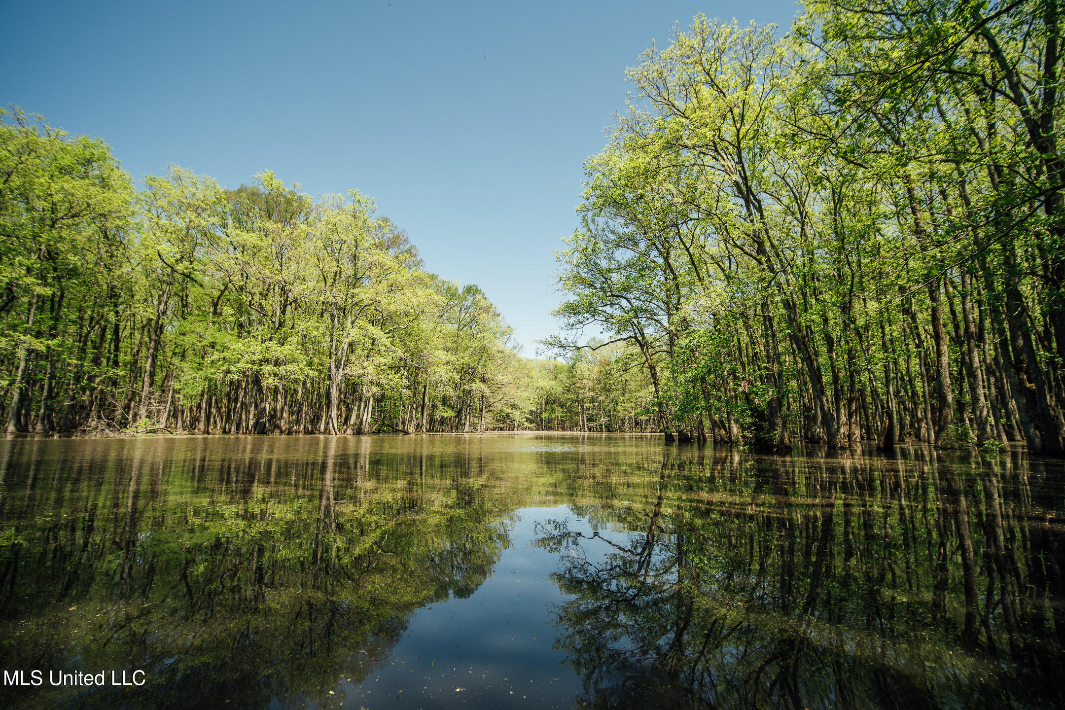 176 County Road Sidon, MS 38954 - Photo 22 of 58 200 Leflore Holly Grove Pics-21