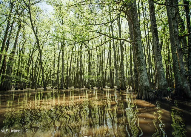 $775,000 | 176 County Road, Sidon, MS 38954