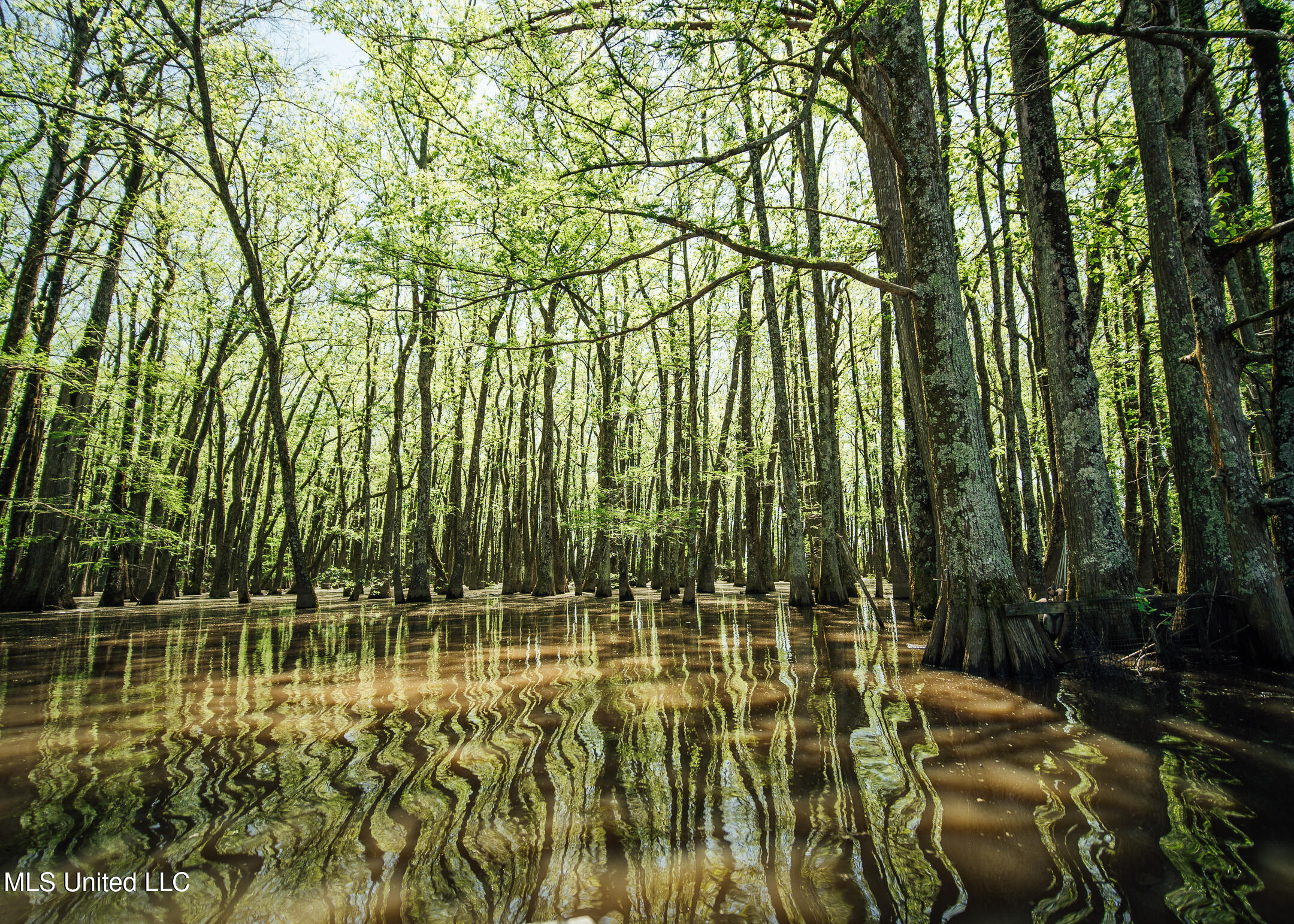 176 County Road Sidon, MS 38954 - Photo 23 of 58 200 Leflore Holly Grove Pics-22