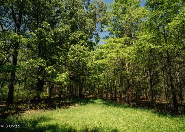 $775,000 | 176 County Road, Sidon, MS 38954