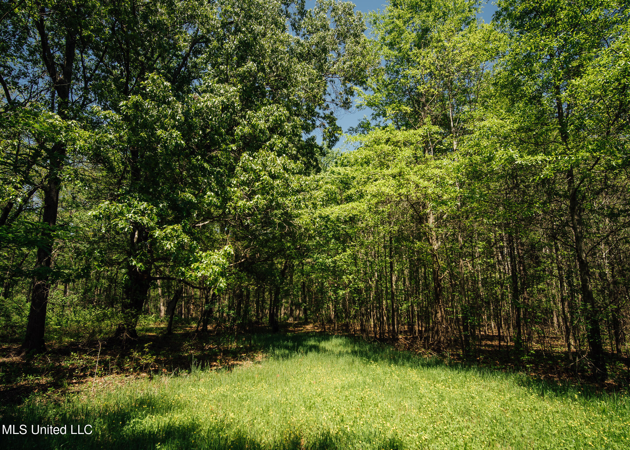 176 County Road Sidon, MS 38954 - Photo 24 of 58 200 Leflore Holly Grove Pics-25