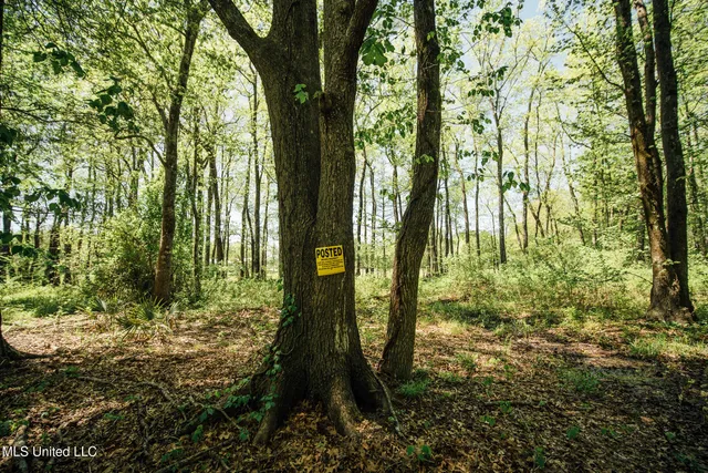 $775,000 | 176 County Road, Sidon, MS 38954