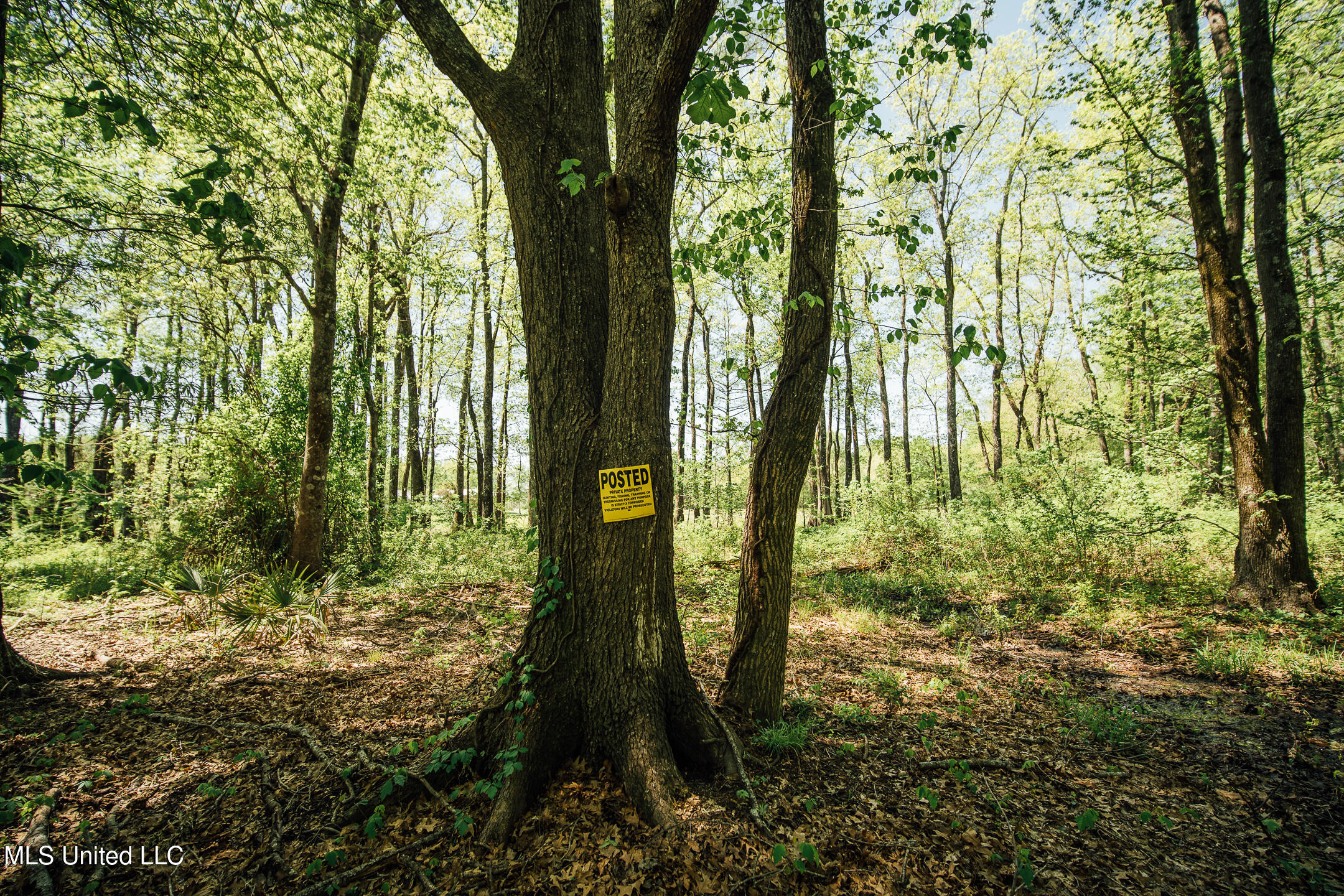 176 County Road Sidon, MS 38954 - Photo 26 of 58 200 Leflore Holly Grove Pics-27