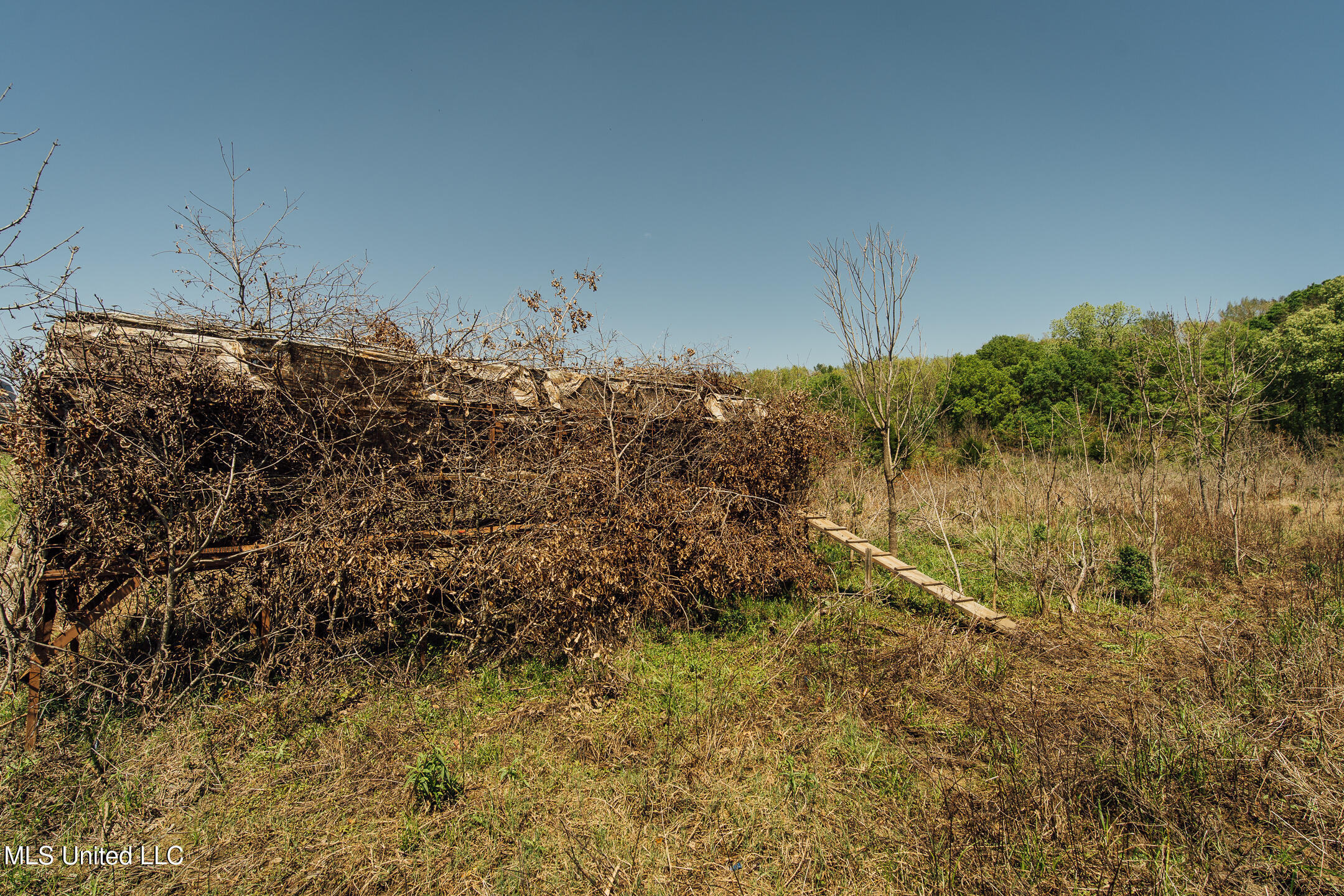 176 County Road Sidon, MS 38954 - Photo 27 of 58 200 Leflore Holly Grove Pics-28