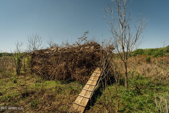 $775,000 | 176 County Road, Sidon, MS 38954