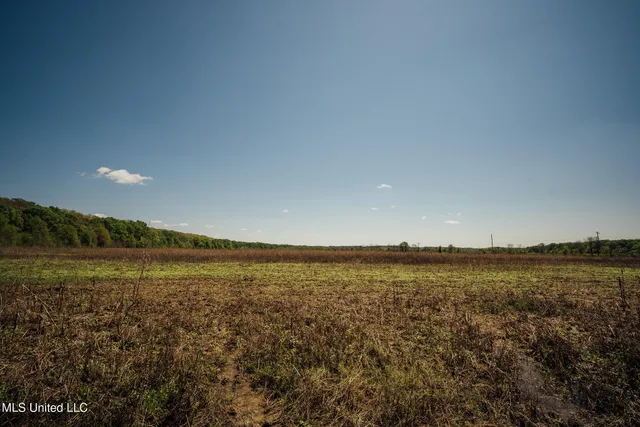 $775,000 | 176 County Road, Sidon, MS 38954