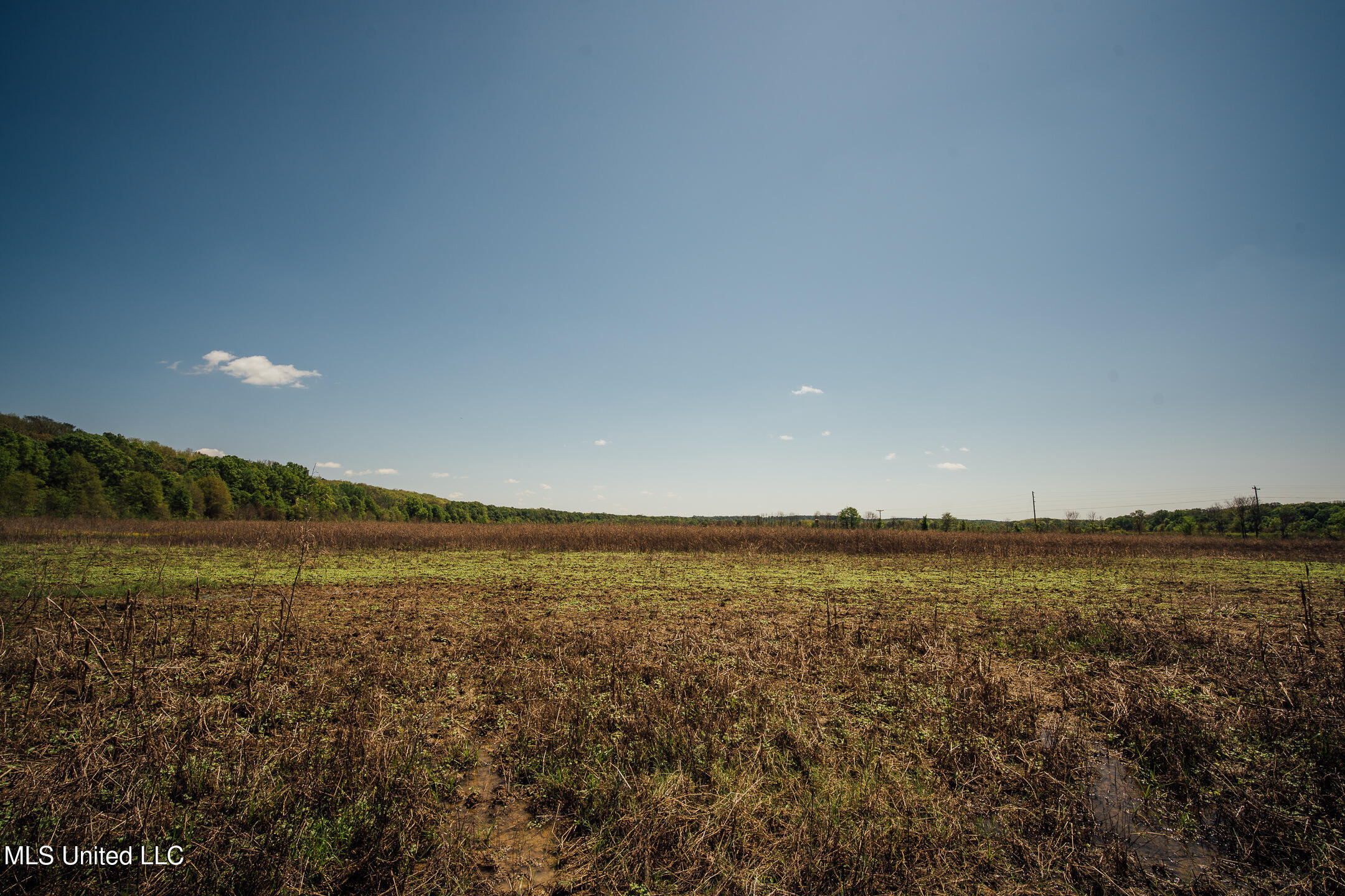 176 County Road Sidon, MS 38954 - Photo 29 of 58 200 Leflore Holly Grove Pics-30