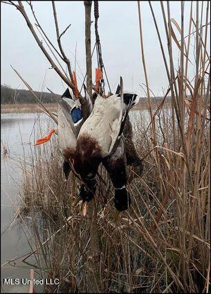 176 County Road Sidon, MS 38954 - Photo 30 of 58 8