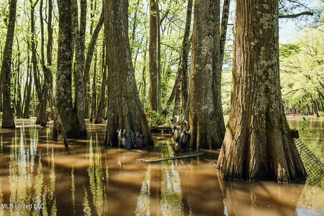 $775,000 | 176 County Road, Sidon, MS 38954