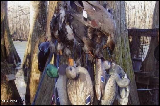 176 County Road Sidon, MS 38954 - Photo 31 of 58 4a