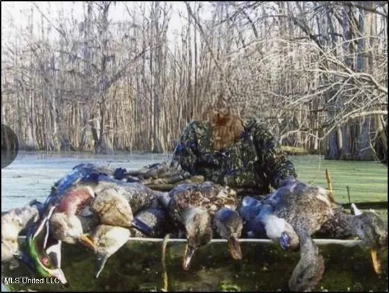 $775,000 | 176 County Road, Sidon, MS 38954