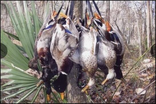 176 County Road Sidon, MS 38954 - Photo 33 of 58 6 (2)