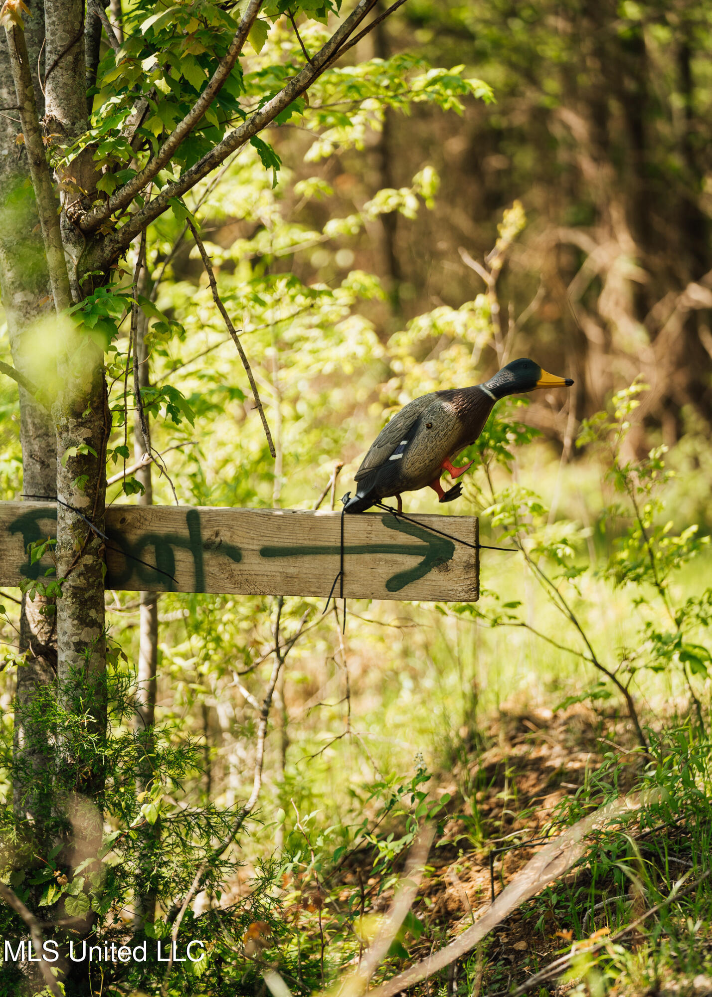 176 County Road Sidon, MS 38954 - Photo 37 of 58 200 Leflore Holly Grove Pics-32