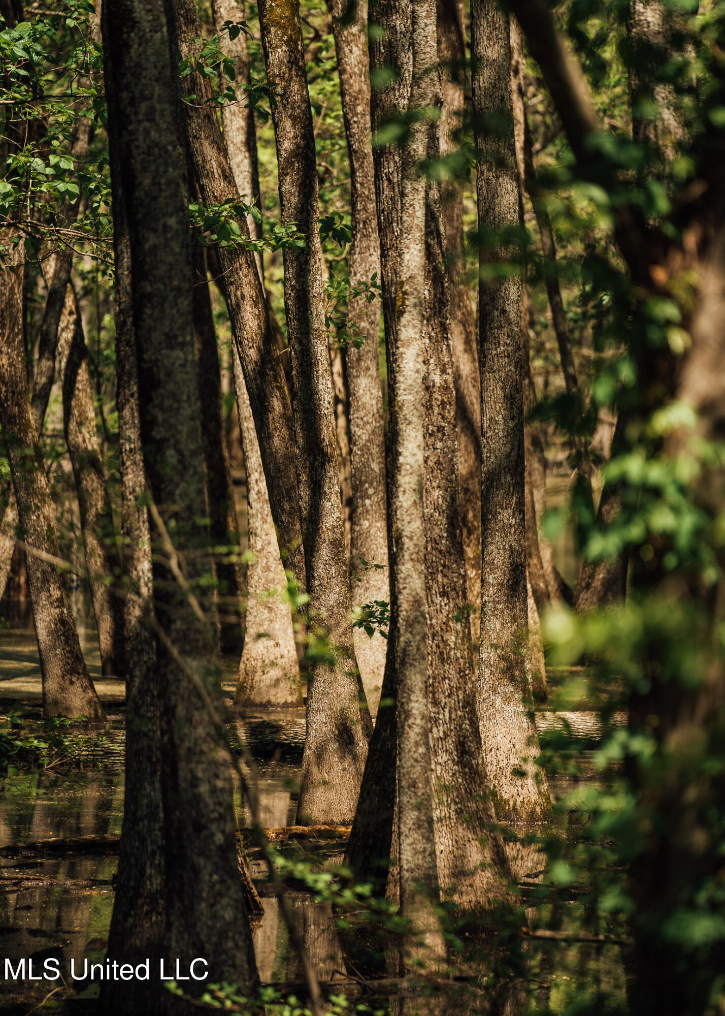 176 County Road Sidon, MS 38954 - Photo 38 of 58 200 Leflore Holly Grove Pics-33