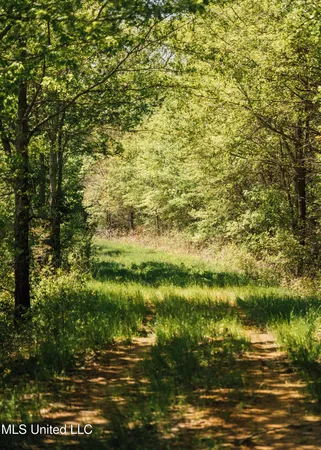 $740,000 | 176 County Road, Sidon, MS 38954
