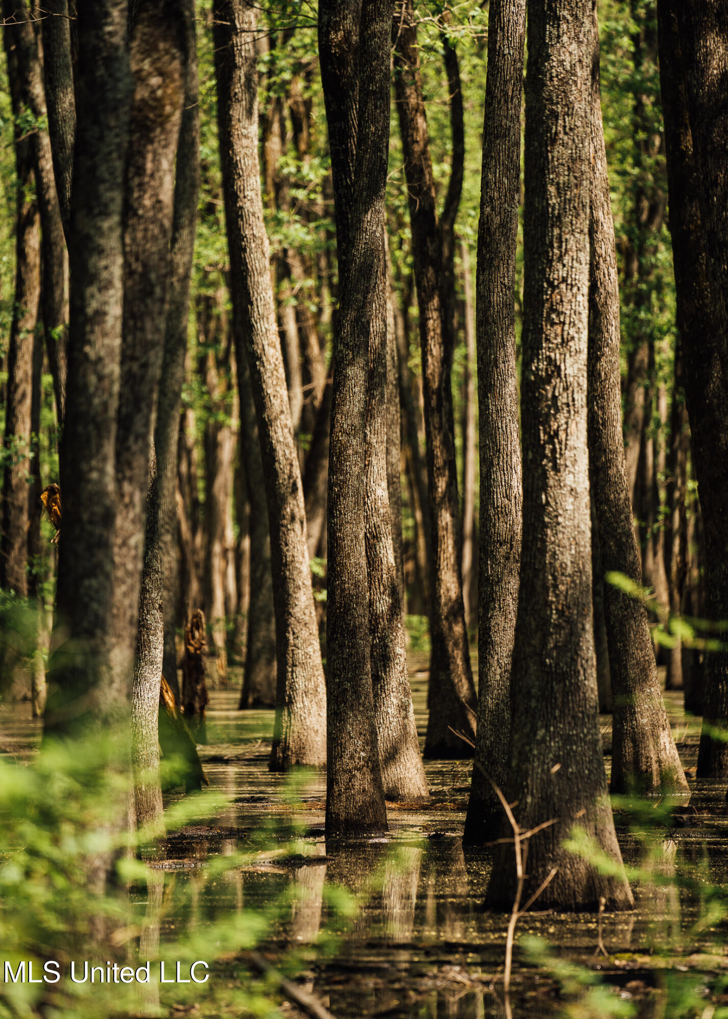 176 County Road Sidon, MS 38954 - Photo 40 of 58 200 Leflore Holly Grove Pics-35