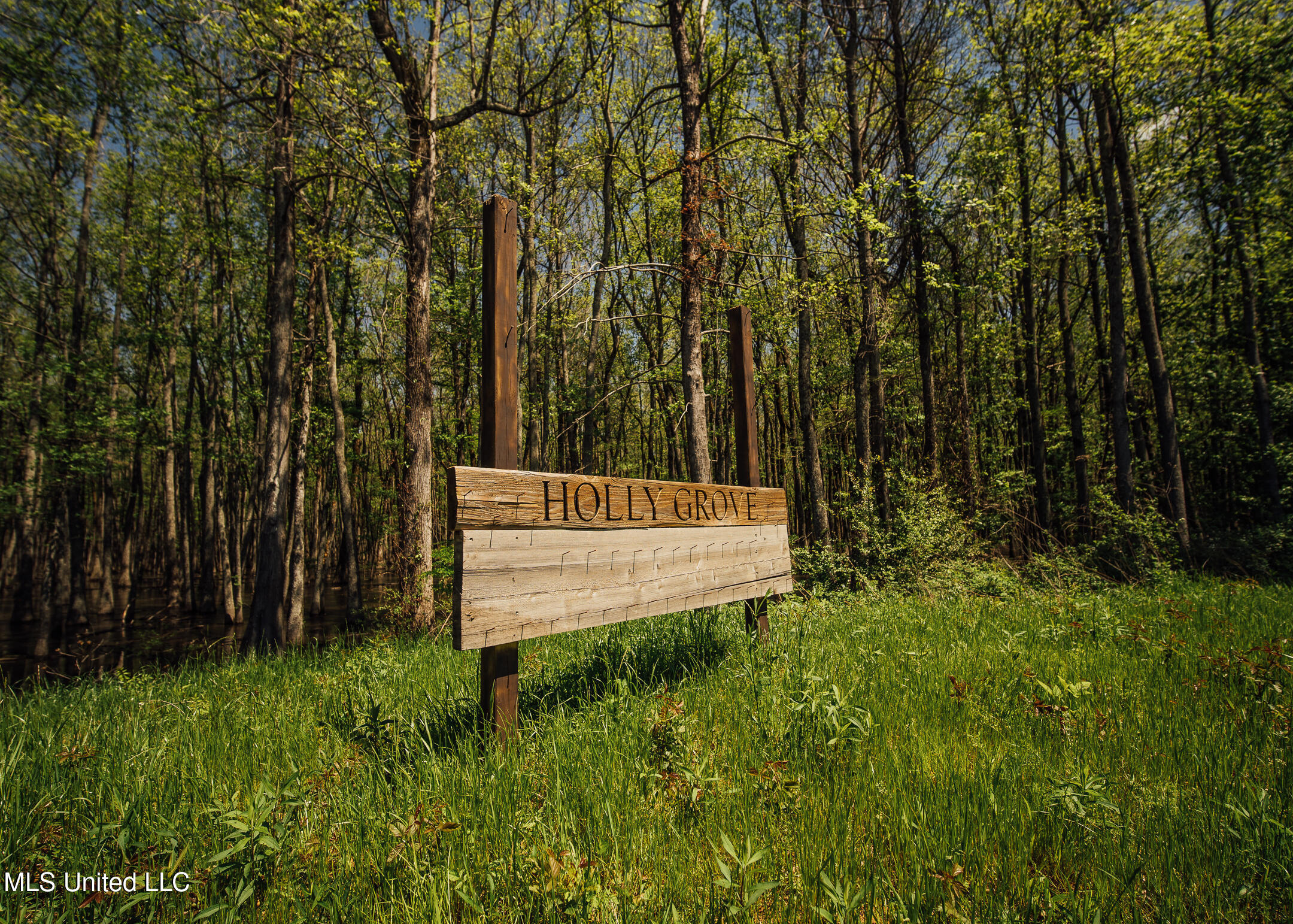 176 County Road Sidon, MS 38954 - Photo 41 of 58 200 Leflore Holly Grove Pics-36