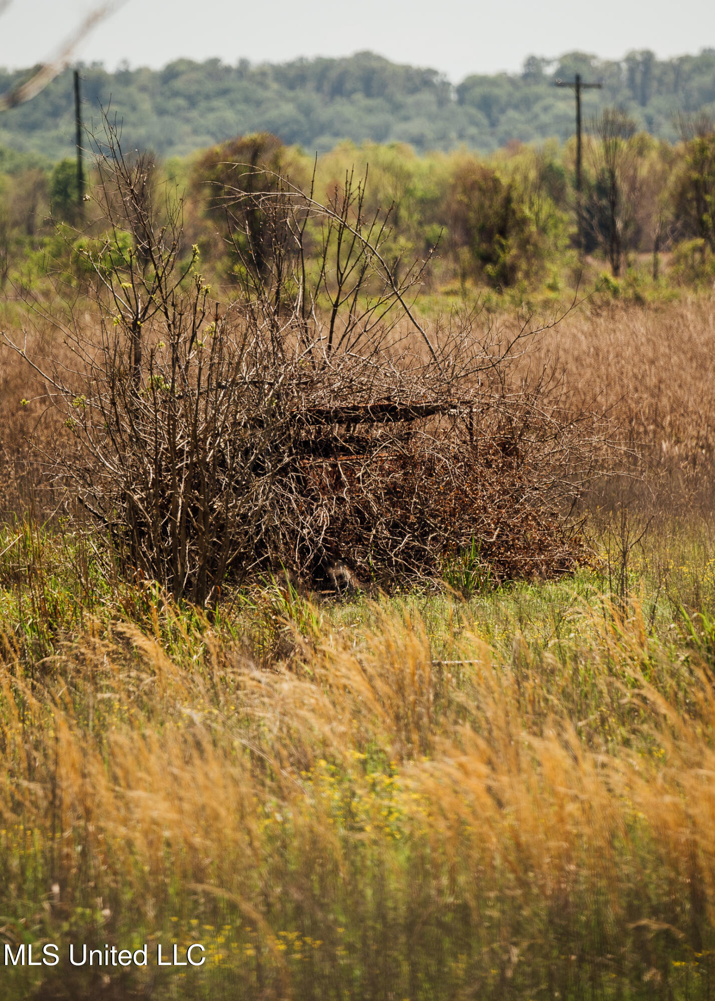176 County Road Sidon, MS 38954 - Photo 44 of 58 200 Leflore Holly Grove Pics-39