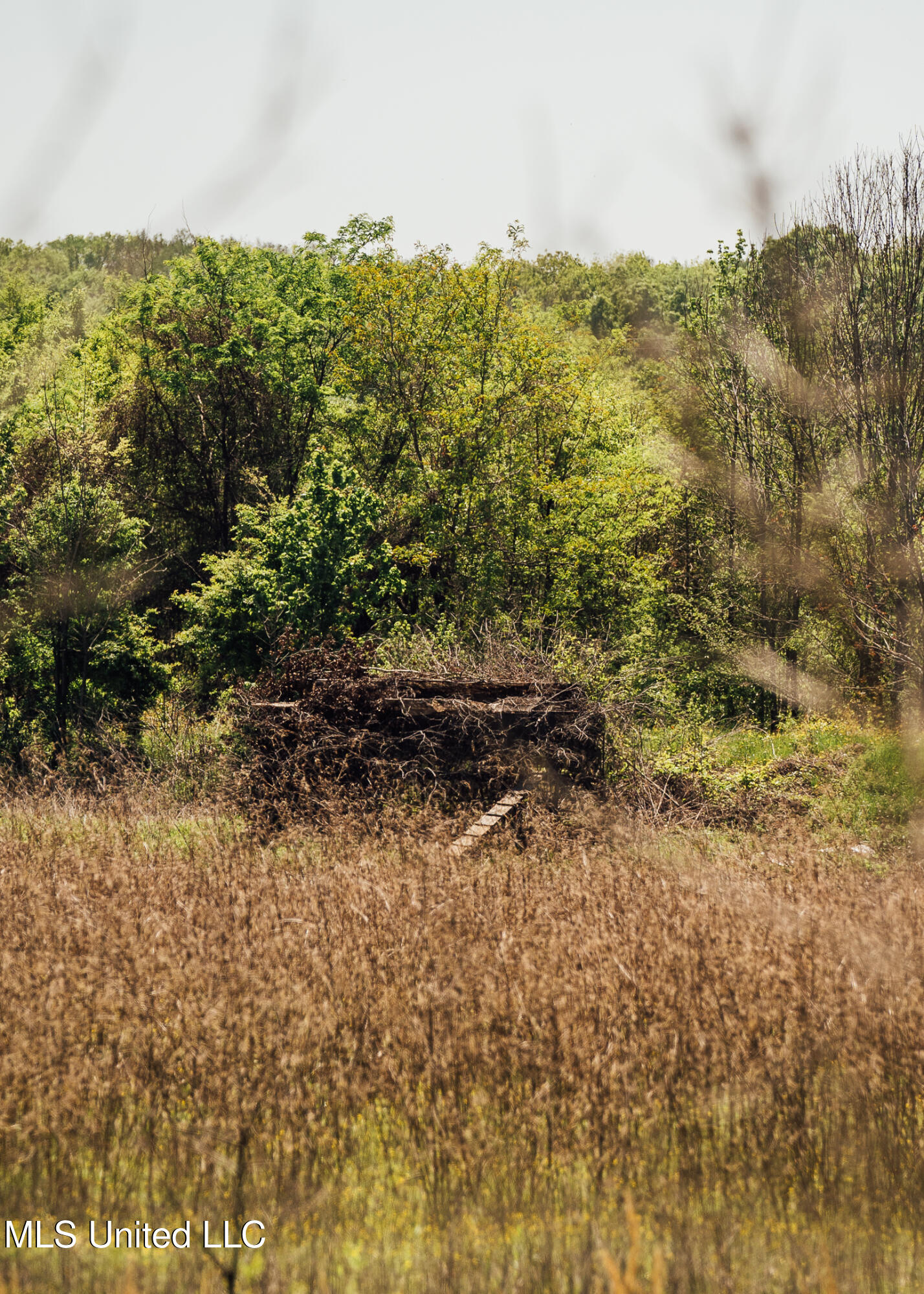 176 County Road Sidon, MS 38954 - Photo 45 of 58 200 Leflore Holly Grove Pics-40