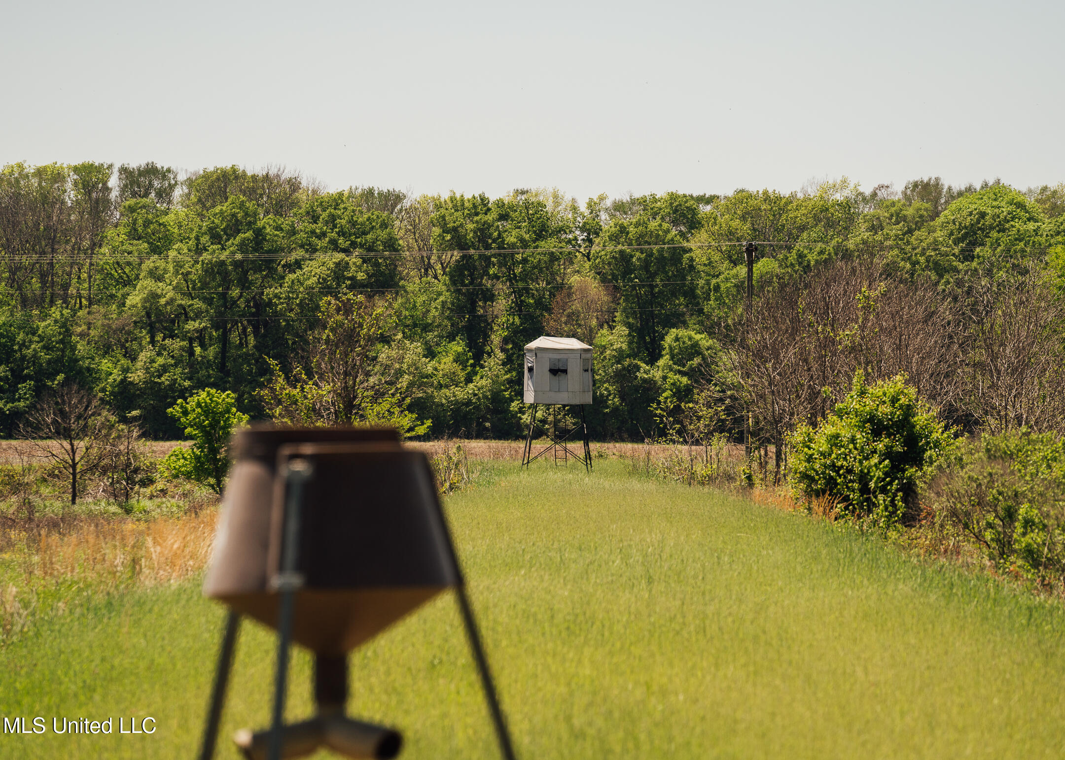 176 County Road Sidon, MS 38954 - Photo 46 of 58 200 Leflore Holly Grove Pics-41