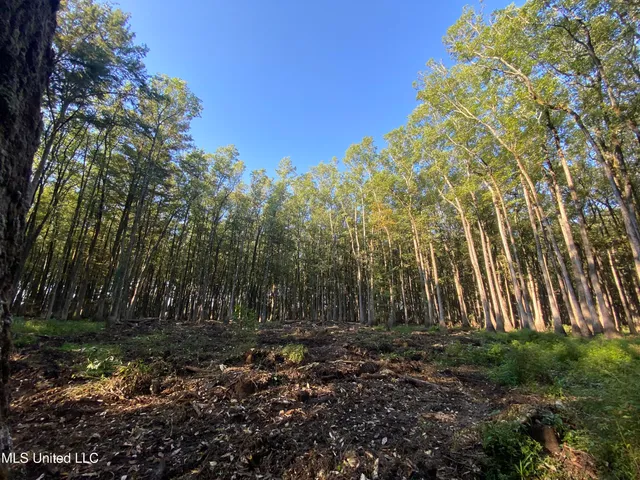 $775,000 | 176 County Road, Sidon, MS 38954