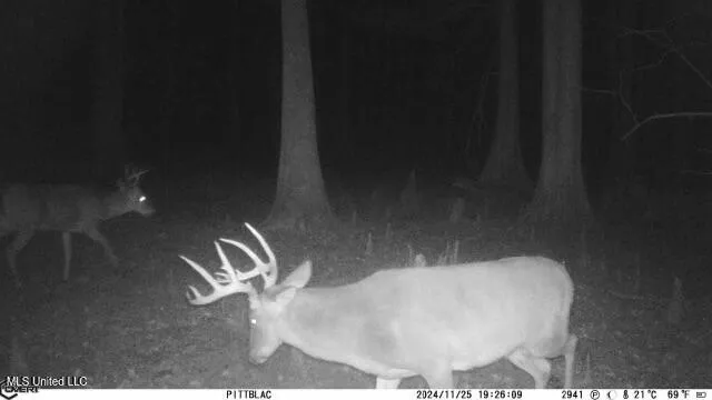 $775,000 | 176 County Road, Sidon, MS 38954