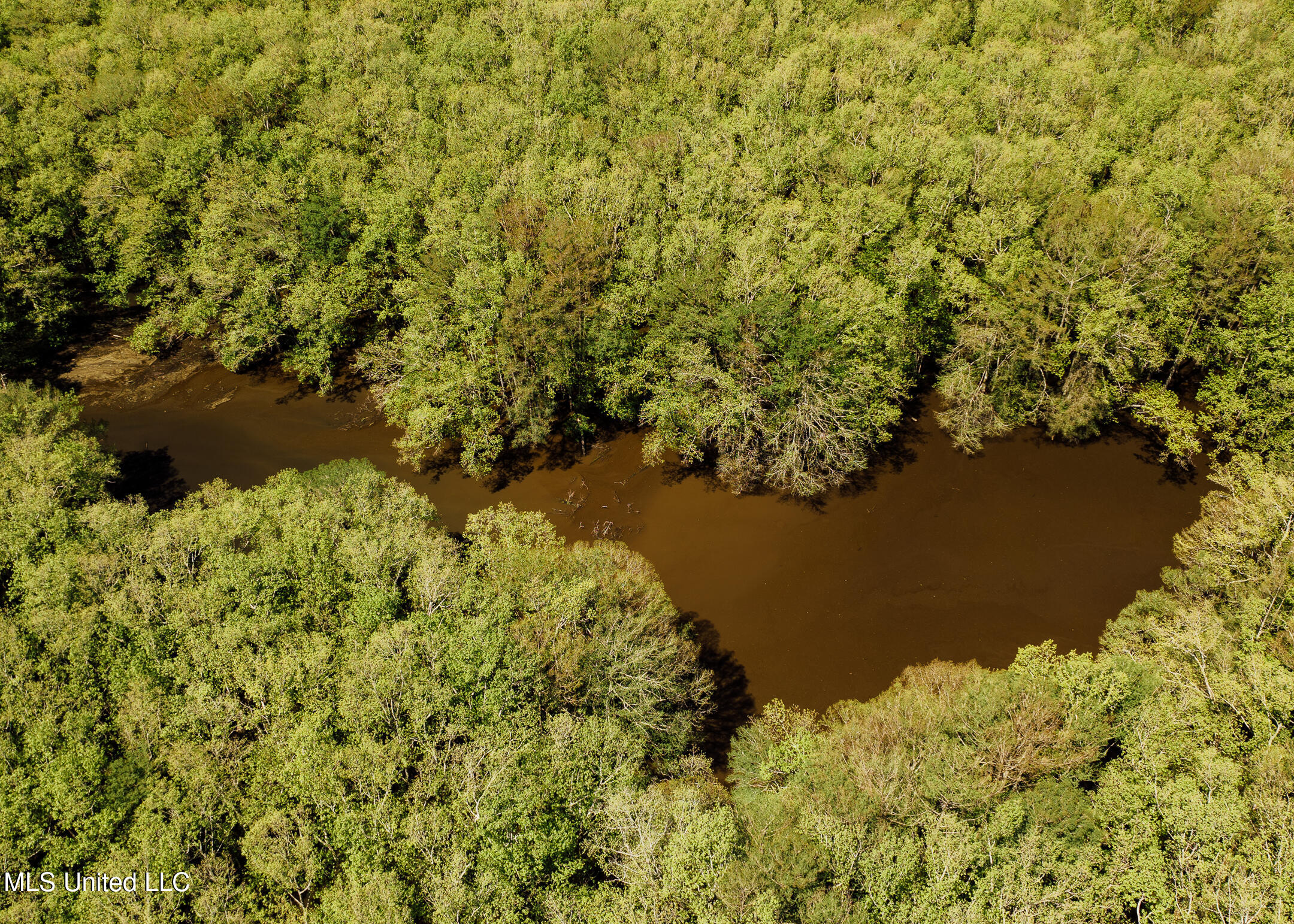 176 County Road Sidon, MS 38954 - Photo 5 of 58 200 Leflore Holly Grove Pics-5