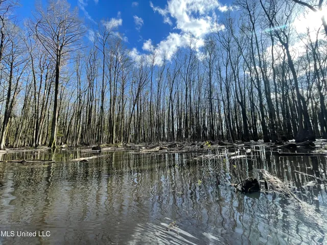 $775,000 | 176 County Road, Sidon, MS 38954