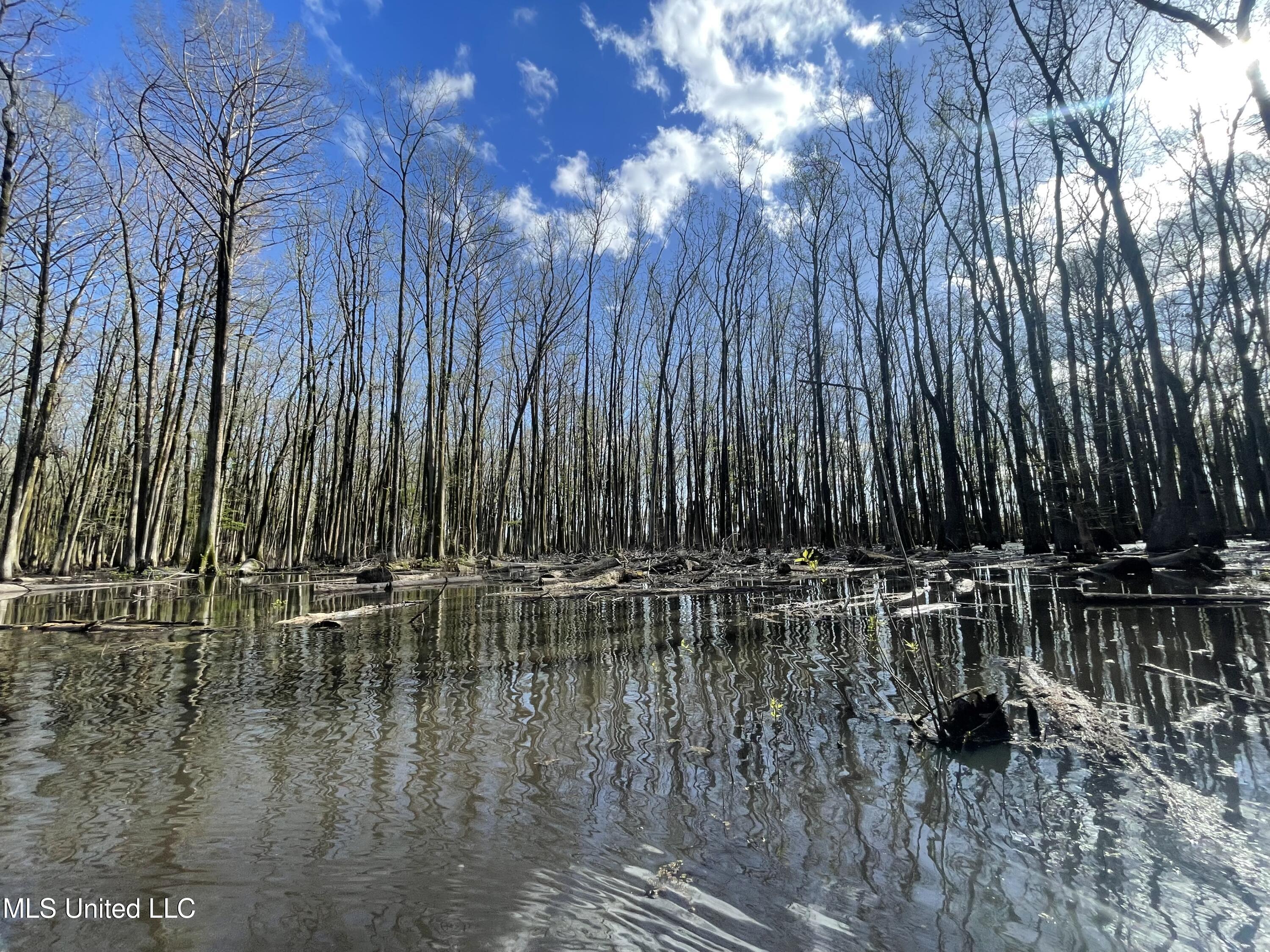 176 County Road Sidon, MS 38954 - Photo 51 of 58 IMG_7115