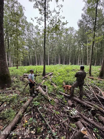 $775,000 | 176 County Road, Sidon, MS 38954