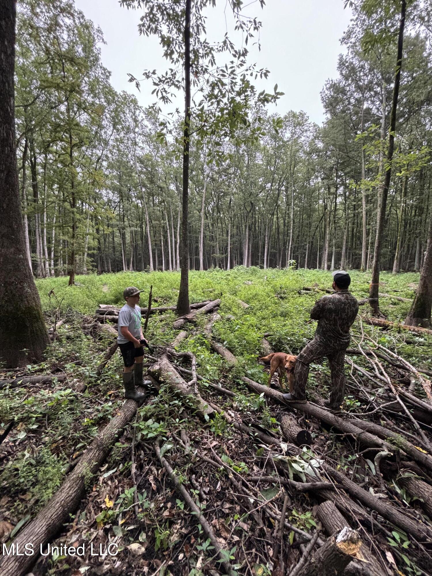 176 County Road Sidon, MS 38954 - Photo 52 of 58 IMG_7876