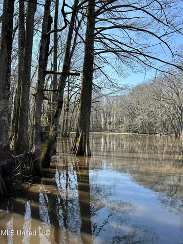 $775,000 | 176 County Road, Sidon, MS 38954